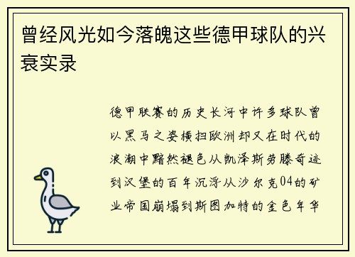 曾经风光如今落魄这些德甲球队的兴衰实录